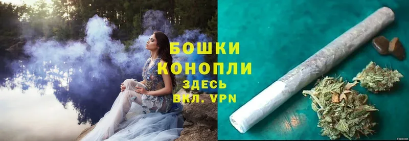 Каннабис OG Kush  Лодейное Поле 